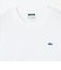 【SHIPS any別注】LACOSTE: ワンポイント ピケ クルーネック Tシャツ 26AW (ロンT)◆