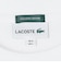 【SHIPS any別注】LACOSTE: ワンポイント ピケ クルーネック Tシャツ 26AW (ロンT)◆