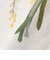 SOMETHING × TOLIGHT:〈洗濯機可能〉フラワー イラスト プリント Tシャツ