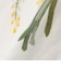 SOMETHING × TOLIGHT:〈洗濯機可能〉フラワー イラスト プリント Tシャツ