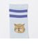 ROSTER SOX: CAT