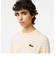 ベーシックボーダーTシャツ