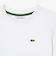 JUNIORベーシックワニロゴパッチTシャツ