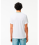 ラインドリブネック鹿の子地Tシャツ