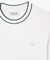 ラインドリブネック鹿の子地Tシャツ