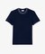 ラインドリブネック鹿の子地Tシャツ