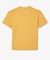 ナチュラルダイワントーンTシャツ
