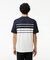 フランスメイドパネルボーダー鹿の子地Tシャツ