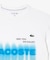 吸水速乾『ダニール・メドベージェフ』ネームグラフィックTシャツ