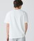 配色ラインドリブネック鹿の子地 半袖Tシャツ