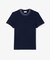 配色ラインドリブネック鹿の子地 半袖Tシャツ
