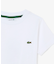 【EC only】JUNIORベーシックワニロゴパッチTシャツ