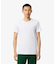 【EC only】エッセンシャル クルーネックTシャツ 3Pセット
