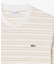 ボーダーコットンTシャツ
