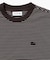 【オンライン限定】LACOSTE  ボーダー リンガーネック 半袖Tシャツ