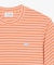 ニットライクボーダーTシャツ