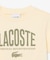 【EC限定】BOYSマルチカラーブランドネームロゴTシャツ
