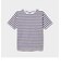 吸水速乾 マルチストライプ Ｔシャツ