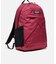 ゴーイング バックパック 20L