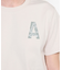 吸水速乾 抗菌 シーズナルプリント 半袖Tシャツ