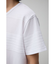 タックボーダーTシャツ