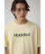 AZコットン FEASIBLETシャツ