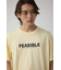 AZコットン FEASIBLETシャツ