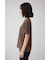 C／T冷感レースロゴTシャツ