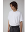 メッシュベルト