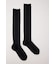 SHEER COLOR SOCKS セット
