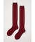 SHEER COLOR SOCKS セット