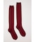 SHEER COLOR SOCKS セット