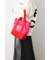 RC CANVAS MINI TOTE