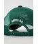 フラミンゴメッシュCAP