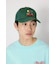 フラミンゴメッシュCAP