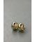 プランプフープピアス