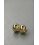 プランプフープピアス
