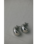 プランプムーンピアス