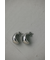 プランプムーンピアス