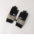 ＜THE NORTH FACE＞ヌプシ イーチップ グローブ