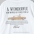 【別注】＜GOOD ROCK SPEED＞FORD ロングスリーブ Tシャツ