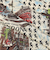 ＜BINDU＞MAP バンダナ