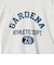 【別注】＜Collegiate Pacific＞フットボール ロングスリーブTシャツ
