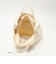 ＜BAGGU＞Disney Duckbag 2WAY ショルダーバッグ