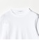 オーガニックコットン Tシャツ