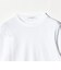 オーガニックコットン Tシャツ
