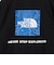 ＜THE NORTH FACE＞バック スクエア トラバース ロゴ Tシャツ