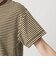 コットン パイルボーダー ショートスリーブ Tシャツ