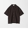 ＜LACOSTE for BEAUTY&YOUTH＞ワントーン ショートスリーブ シャツ