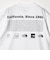 ＜THE NORTH FACE＞ヒストリカル ロゴ ショートスリーブ Tシャツ